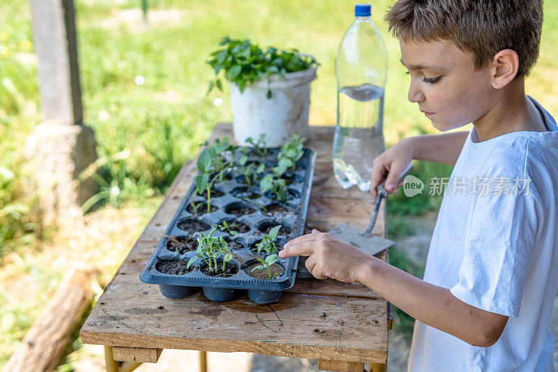 可爱的幼稚园小男孩在种树。他在家里的菜园里帮忙，玩得很开心