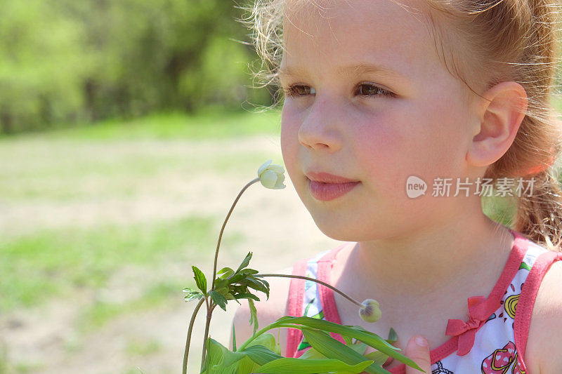 小女孩在田野里摘夏天的花。快乐的孩子在户外享受大自然。夏季