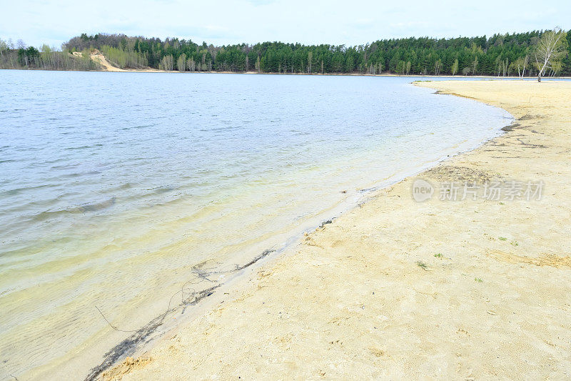 海浪拍打着森林湖边的沙滩