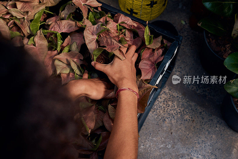 照片中，一位面目全非的女子在花园中心摆弄植物