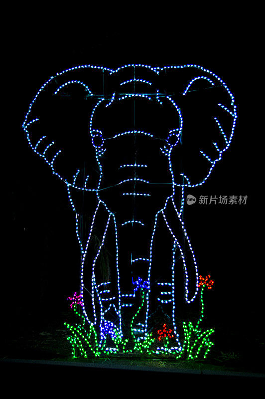 装饰颜色轮廓大象使用离散光在黑色背景