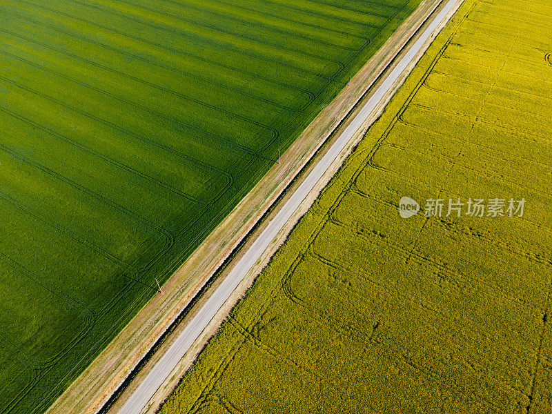 从无人机和乡村公路上看到的农田