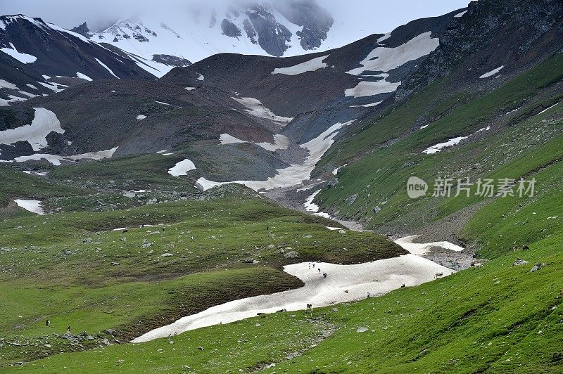 那拉提草原-新疆维吾尔自治区雪山和牧场