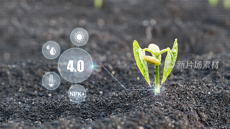 监测植物的生长。创新现代科技智慧农业4.0革命