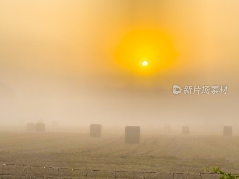 加拿大，曼彻斯特，佩里港，清晨雾中的乡村景色