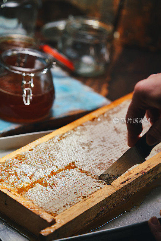 带蜂窝的健康蜂蜜