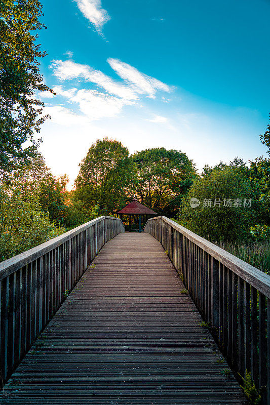 公园里的木桥