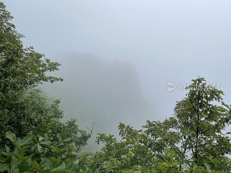 多雾的山