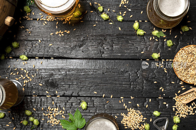 啤酒杯绿色啤酒花和小麦在木制黑色背景