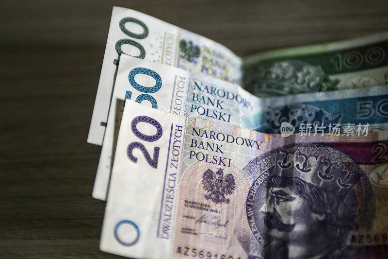波兰的货币