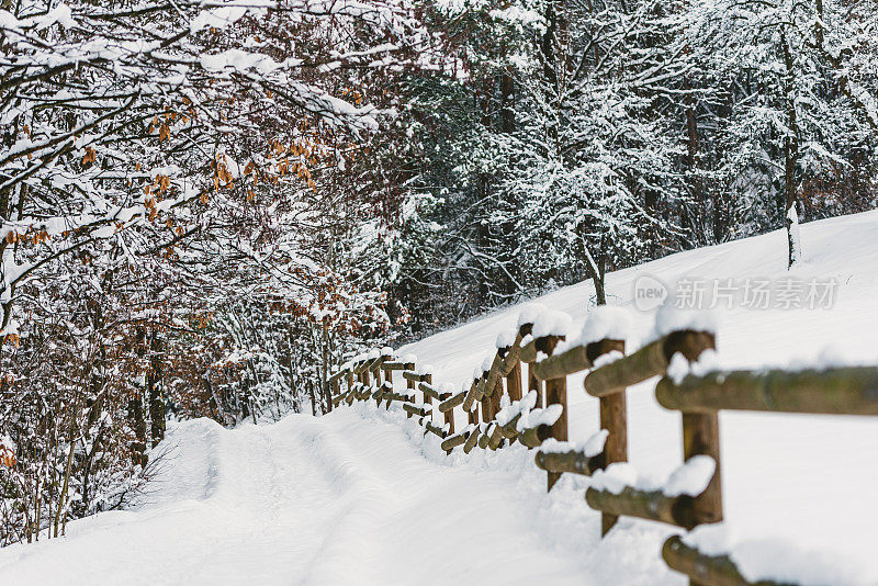 美丽的冬季风景。森林或公园里的木桥。