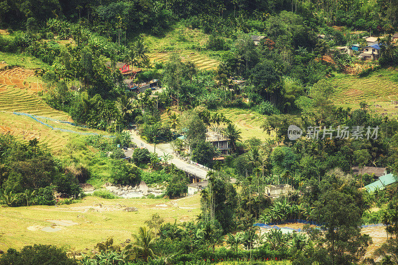 斯里兰卡埃拉高地的一个小村庄和茶农的全景