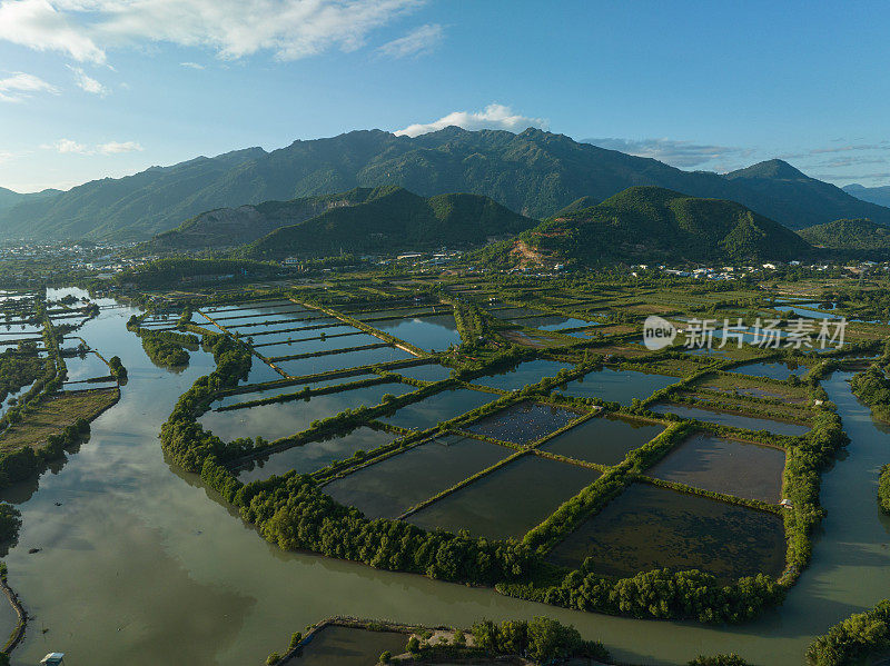 永泰镇的虾湖农场