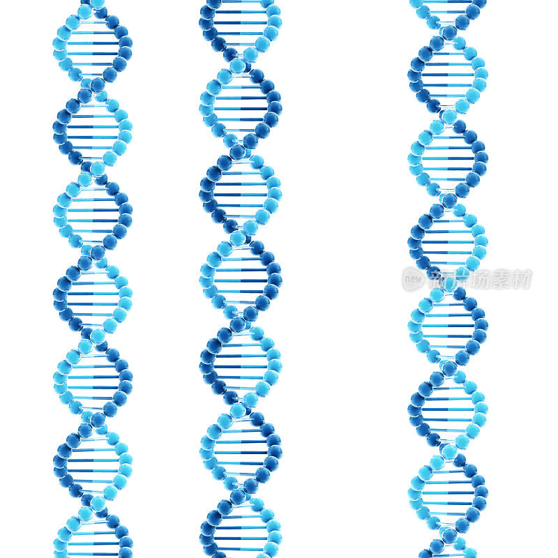 DNA双螺旋分子结构