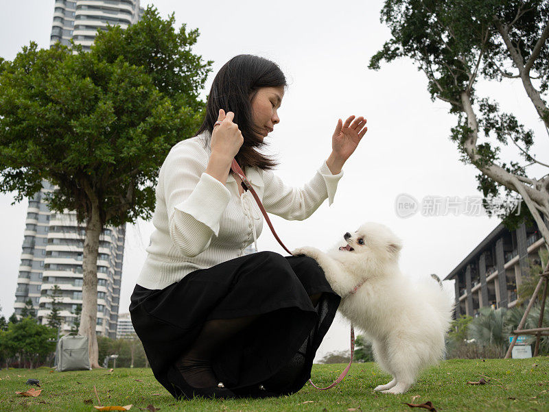 一个女人在和她可爱的小狗玩耍