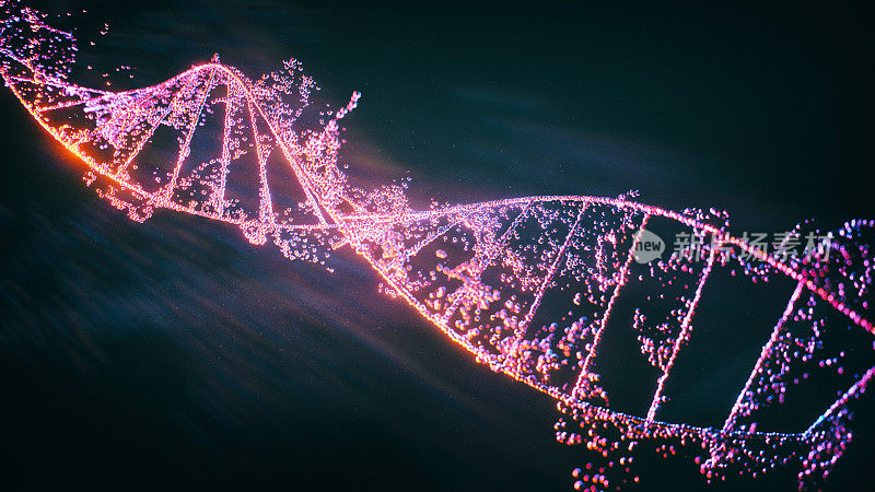 DNA分子的三维图像