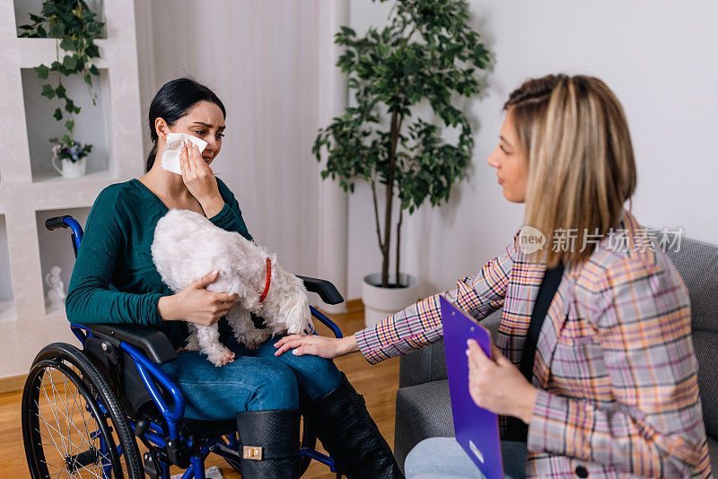 坐在轮椅上的年轻女子在与她的同情心理治疗师的会议中找到了她的治疗犬的安慰