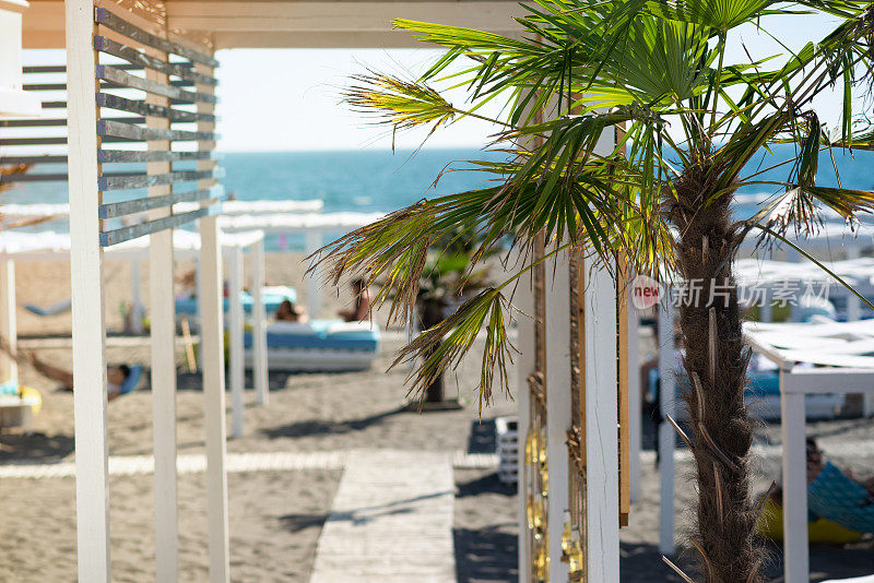 波希米亚风格的床与棕榈树，在黑山的热带海滩，库存照片