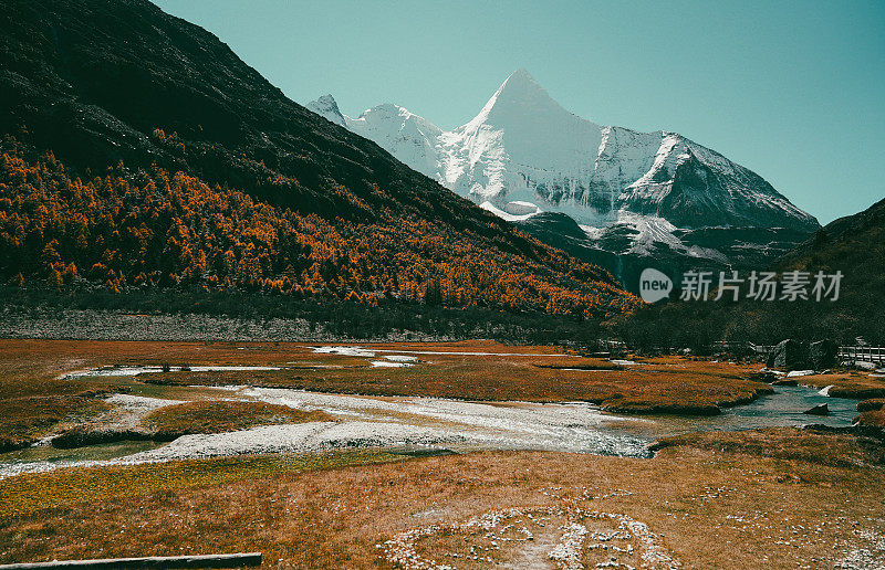 雪山溪草原