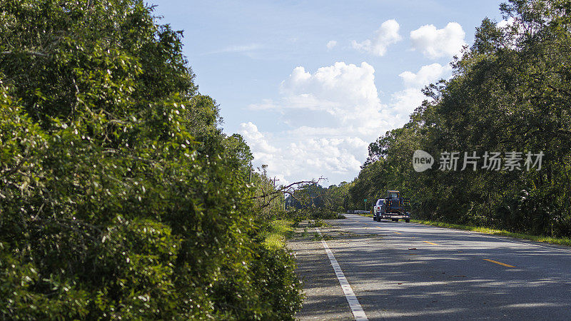 倒下的树与高速公路上的汽车相遇:飓风过后，北佛罗里达道路上的交通被倒下的树所阻碍