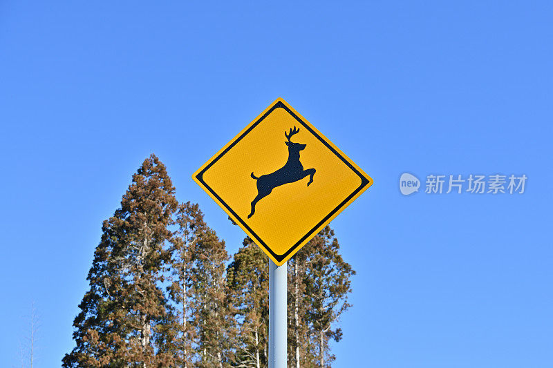 动物警告路标