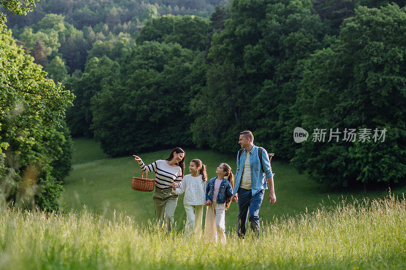一家人在森林里散步，穿过草地。采蘑菇，采香草，采花篮，采牧草。大自然中家庭生态爱好的概念。