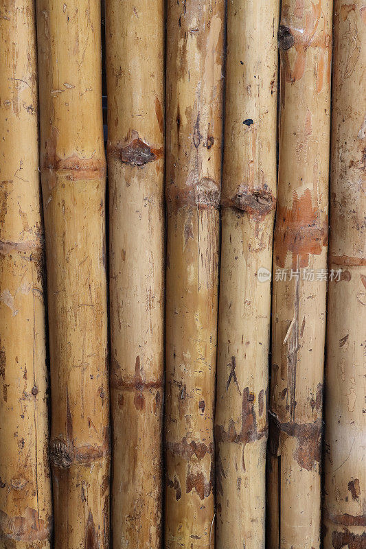 竹篱的全画幅图像，一排竹藤粘合在一起形成栅栏，重点放在前景