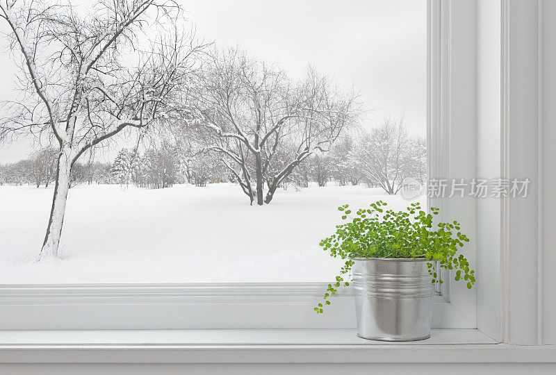 冬天透过窗户看到的风景，还有绿色的植物