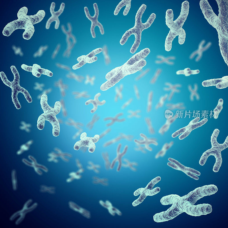 x染色体作为人类生物学概念的医学符号