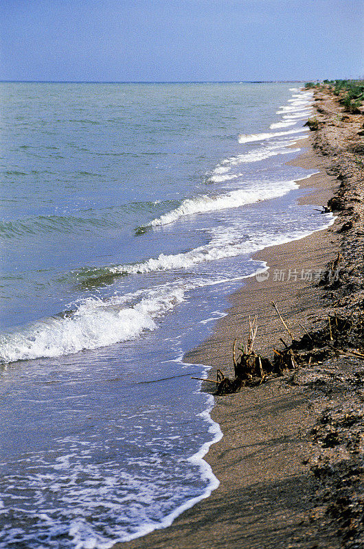 里海。