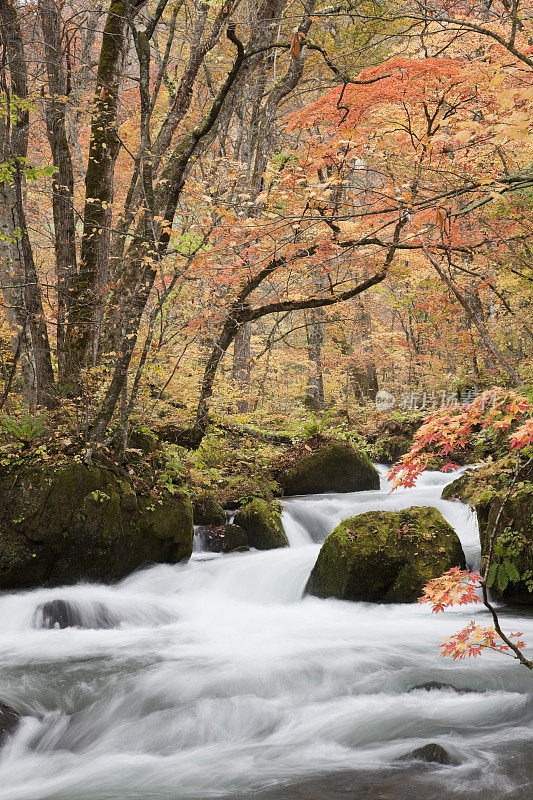 日本山流