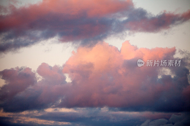 日落时蓬松的粉红色积云