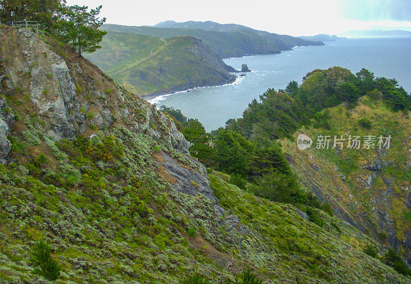 Tamalpais山州立公园-加利福尼亚州