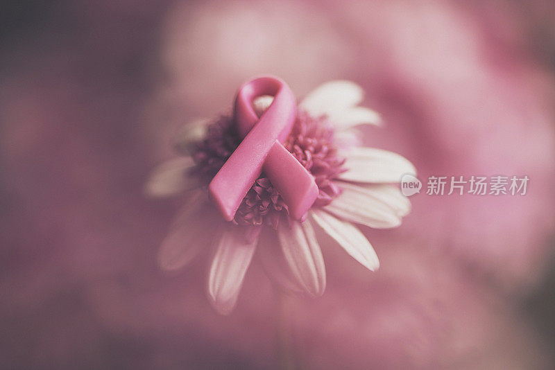 乳癌意识丝带，粉色花朵，软背景