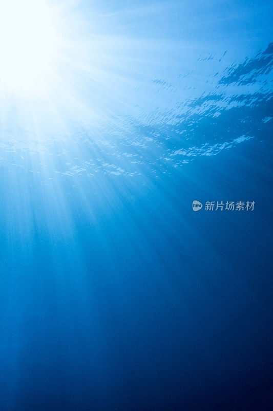 水下摄影气泡空气垂直阳光左上