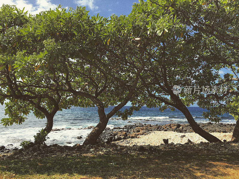 Wailea海滩，毛伊岛，夏威夷，美国