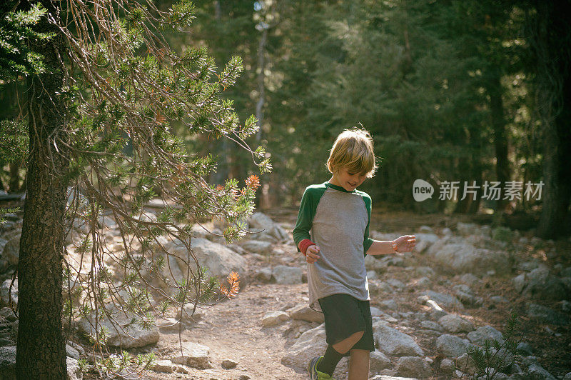 孩子们在约塞米蒂国家公园森林里奔跑