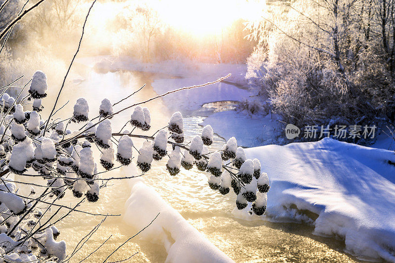 冬季阳光明媚的景观与河流和森林