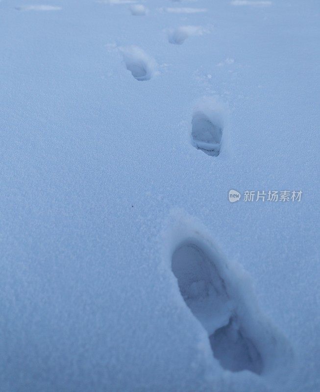 雪地里的脚印