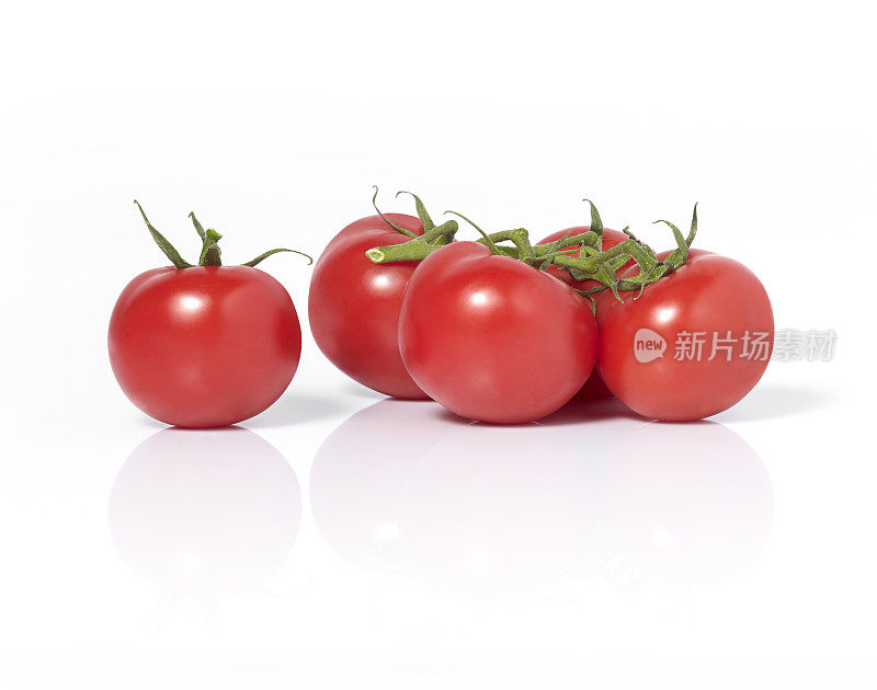 tomatos网络