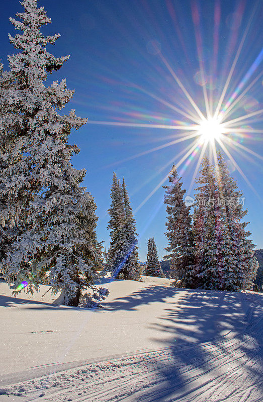 维尔滑雪胜地的冬日太阳