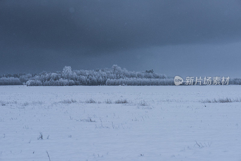 景观降雪之前