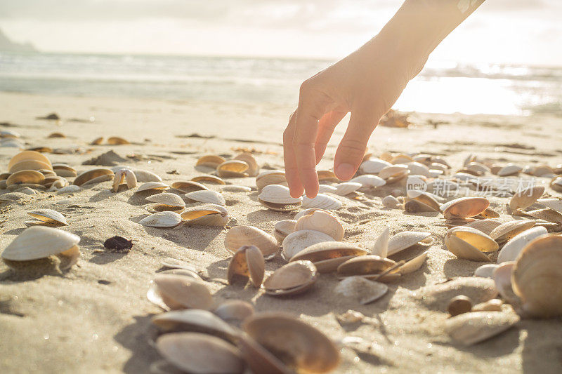 近距离观察一个女人在海滩上捡贝壳的手