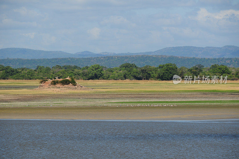 Polonnaruwa、斯里兰卡。