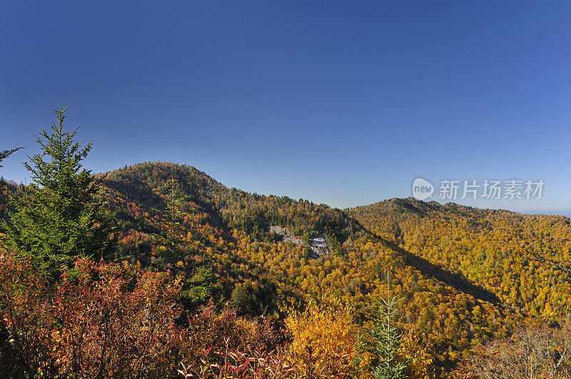 蓝岭公园路国家公园秋天风景