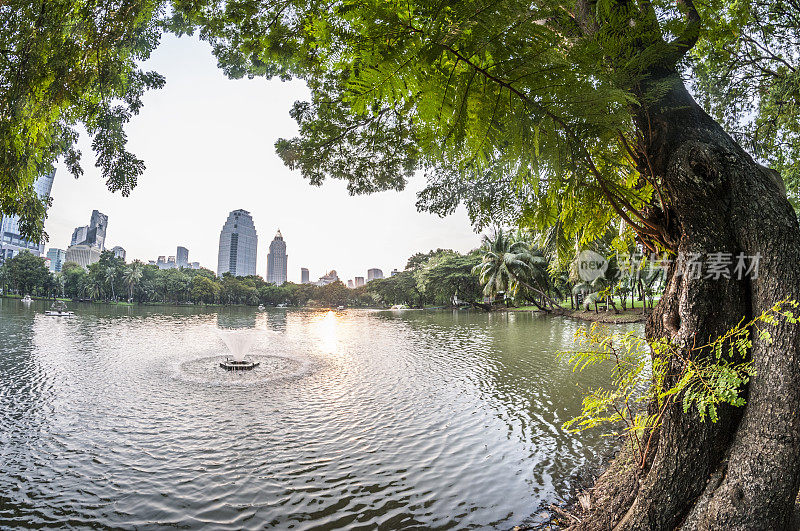 曼谷城市景观和日落