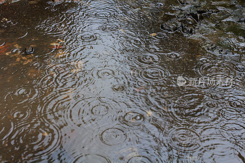 雨水