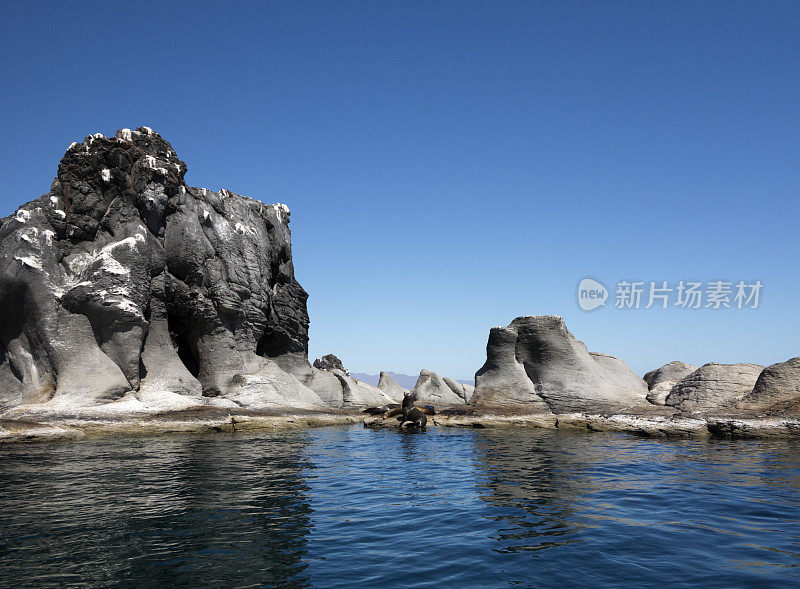 海狮殖民地，洛雷托，墨西哥