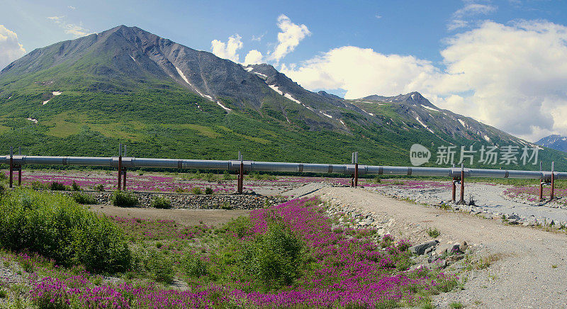 带山和花的横贯阿拉斯加管道