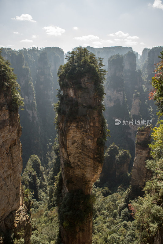 砂岩柱，张家界国家森林公园，中国